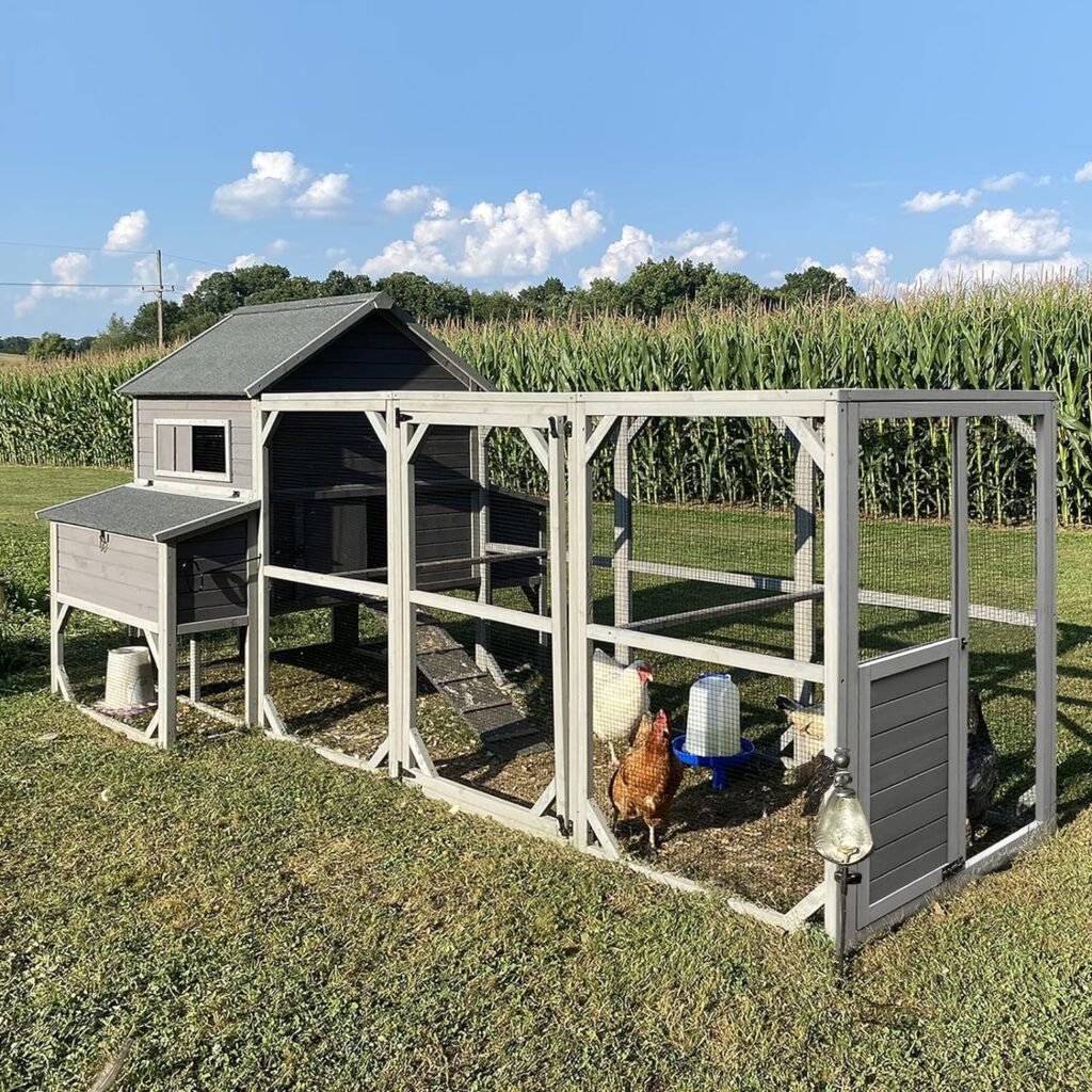 Chicken Coop 55ft² Large Chicken House with Run Wooden Hen House Poultry Cage with 6 Large Nesting Boxes,10-15 Chickens